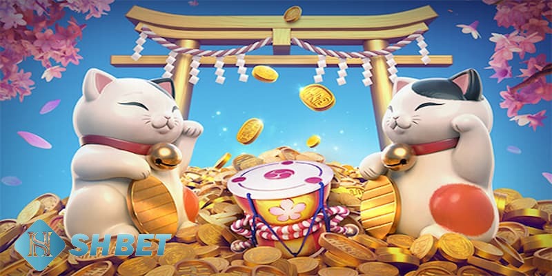 mèo phú quý mèo phú quý