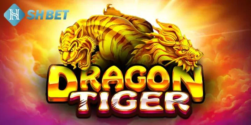 Phiên bản cơ bản của rồng hổ hành bài đã thu hút