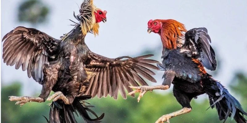 Mang truyền thống lên các nền tảng công nghệ là sứ mệnh của chúng tôi