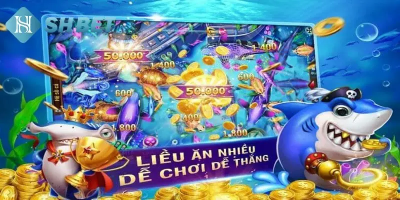 Cần lưu ý vài điều cơ bản về tool